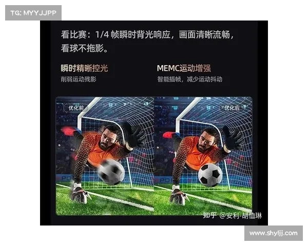 全面解析足球大赛观赛活动参与方式与精彩体验指南